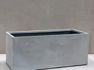 Piazza Trough